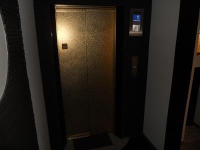 アクアプレイス京都二条城のその他共用部分|エレベーター