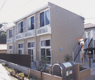 ロフテージミドリの画像