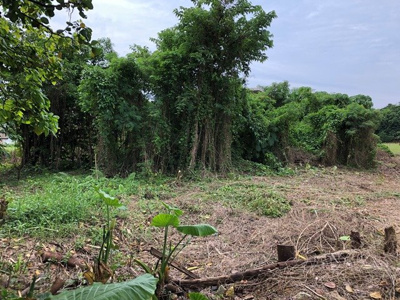 【外観】 | 沖縄市比屋根6丁目(249.56坪）