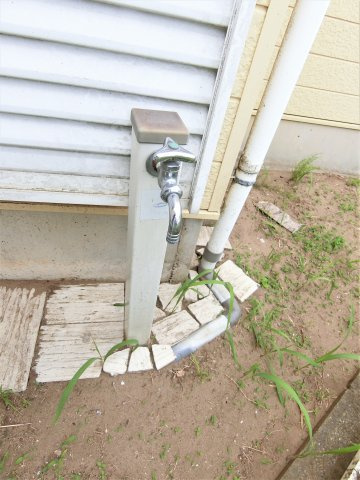 弓渡戸建ての庭