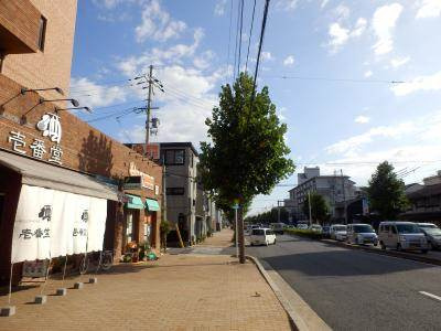 ラポール壱番堂の周辺|前面道路