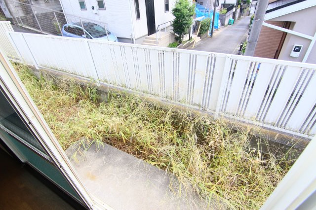 日吉ハイツの庭