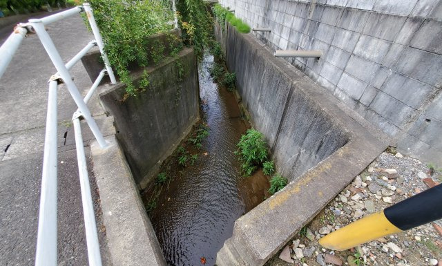 リーブルファイン中大流のその他