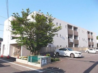 LUXURY　MANSIONの画像