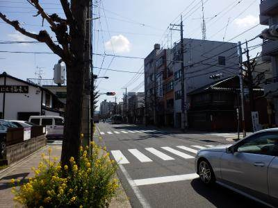 プレ二条の周辺|前面道路