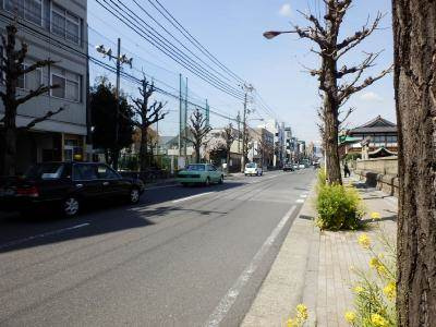 プレ二条の地図|前面道路