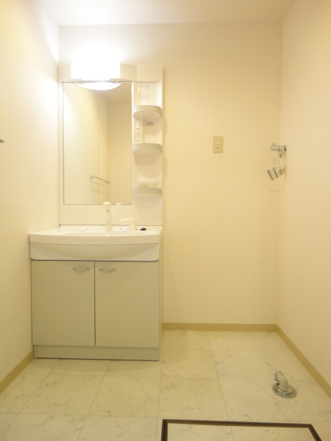 ルネス荒木五番館【キャッシュバック対象物件】の洗面所