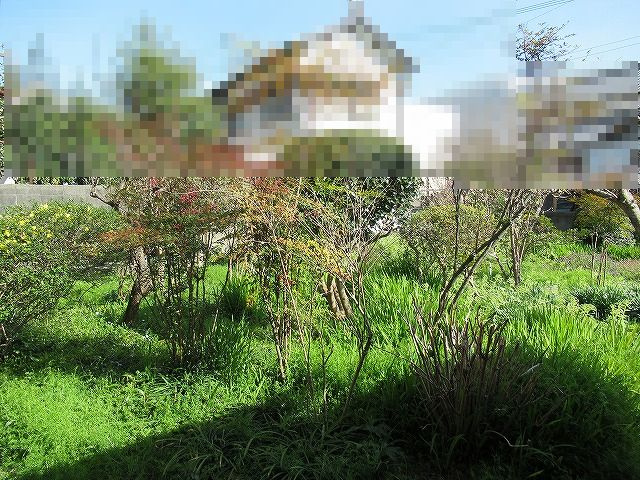 土佐市高岡甲　の外観