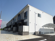 アルブルームの画像