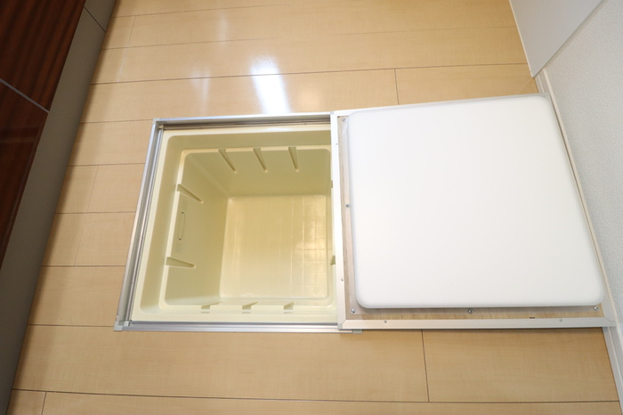 ステアヒルズⅡの収納