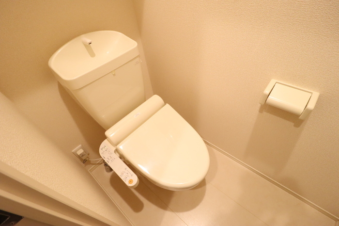 ステアヒルズⅡのトイレ