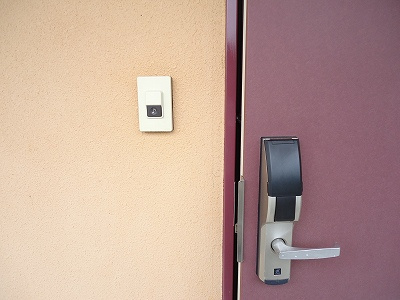  | サンズ杉の木