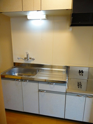  | サンズ杉の木