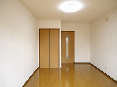  | サンズ杉の木