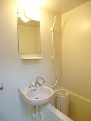  | サンズ杉の木