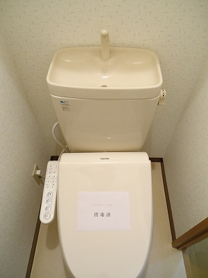  | サンズ杉の木