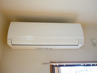  | サンズ杉の木