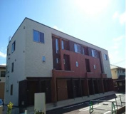 プリムローズBの画像