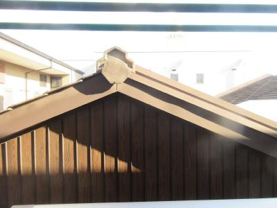 ロフティ西ノ京の展望|南向き眺望