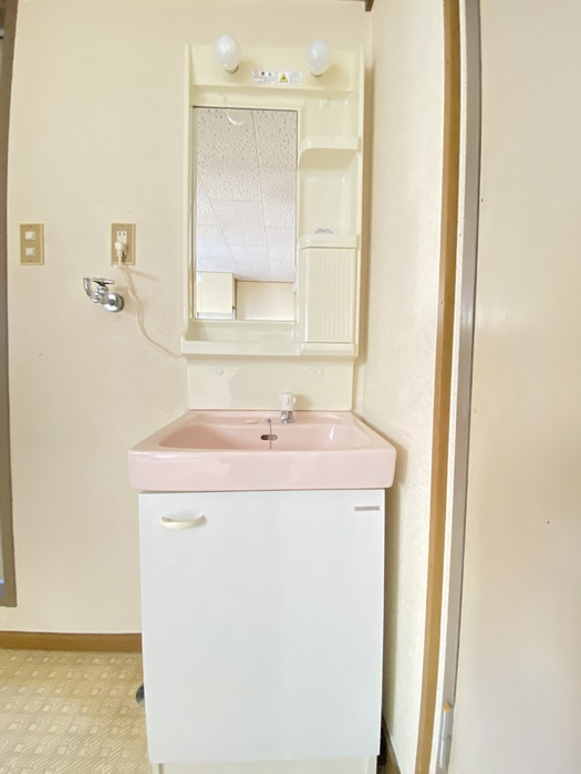 石川ハイツの洗面所