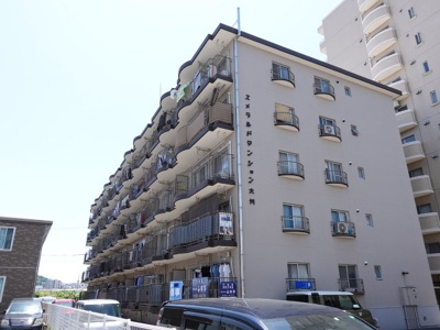 【外観】 | エメラルドマンション大州 | 猿猴川沿いの当マンションは平地ということもあり、どこに行くのにも便利です！