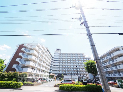 【展望】 | リブリ・満開