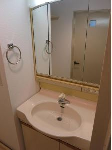 【独立洗面台】 | グリーンヒルズ飛鳥山