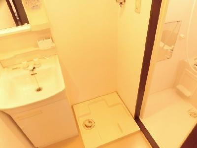 グランシティレジデンス京都駅前（旧GARNET RESIDENCE 七条河原町）の洗面所|室内洗濯機置き場