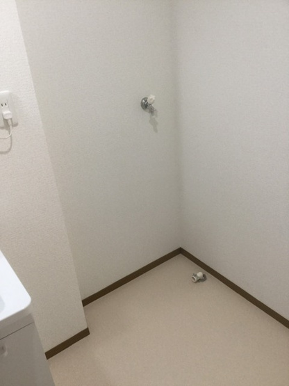 【洗面所】 | プリシェール金屋 | 室内洗濯機置場