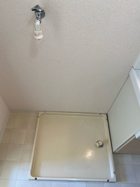 パセオクレールⅡの洗面所