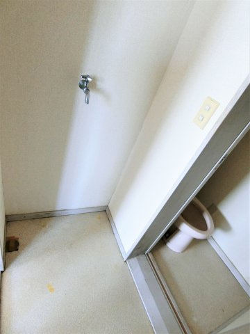 パープルコートのその他