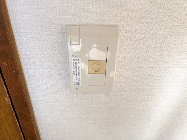 ヴァーテューⅠのセキュリティ