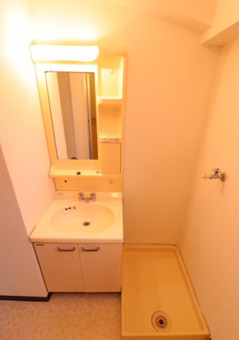 カーサオガワの洗面所|スペースが確保できる洗面所です