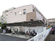 アクシアの画像