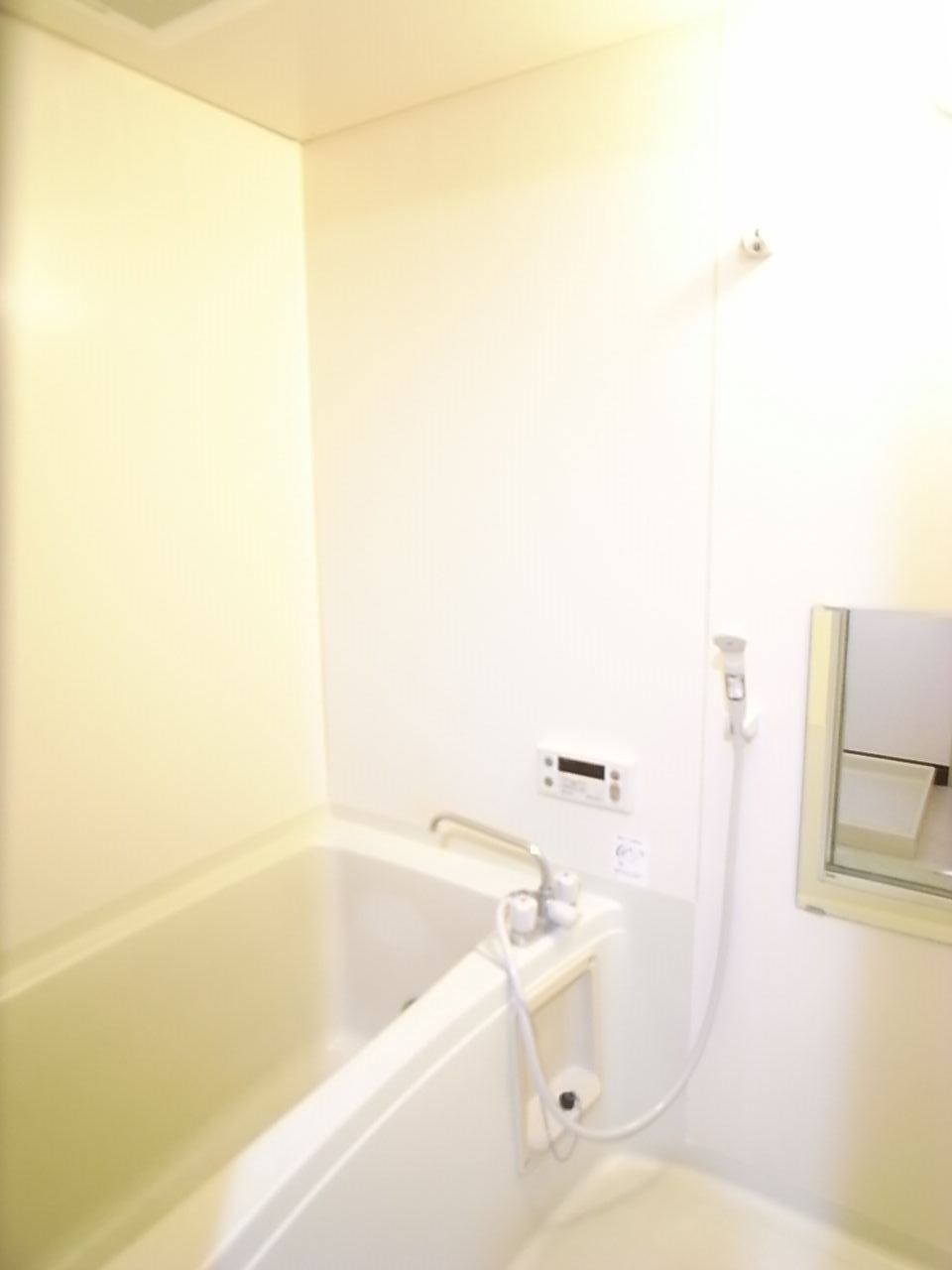 ライフガーデン【10,000円キャッシュバック対象物件】の浴室|おしゃれな外観です