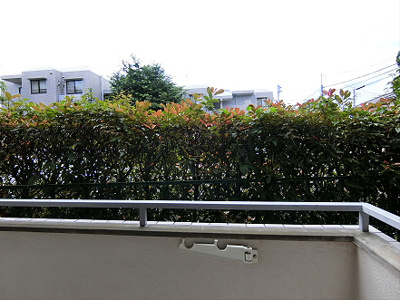 【展望】 | フラット浜田山