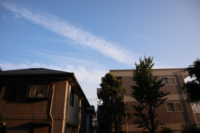 ライオンズマンション津田沼前原　１階部分の展望|前面は棟無につき陽当り良好です。