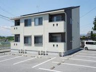 コスモスⅡの画像