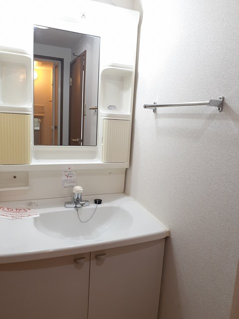 エントピア名和北Aの洗面所