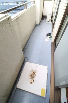 【バルコニー】 | コスモ三鷹台