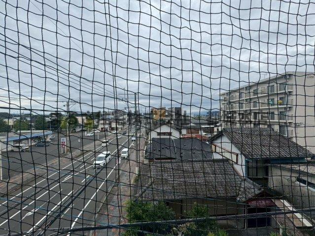 エムズ牟田の展望