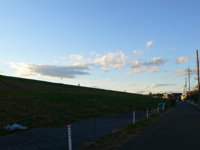 荒川河川敷
