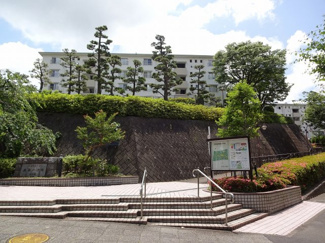 【外観】 | マンション敷地内