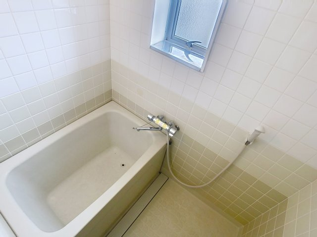 アルカディア城西Aの浴室