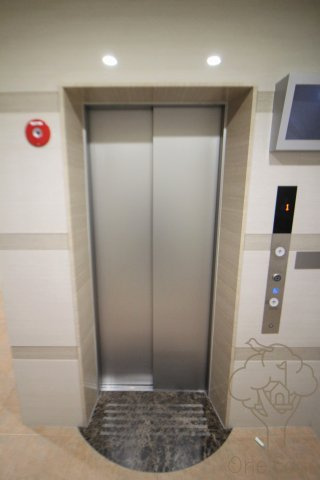 Luxe新大阪Ⅴのその他共用部分