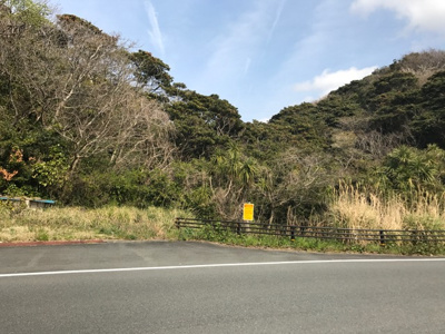 【外観】 | 妻良１－１売地