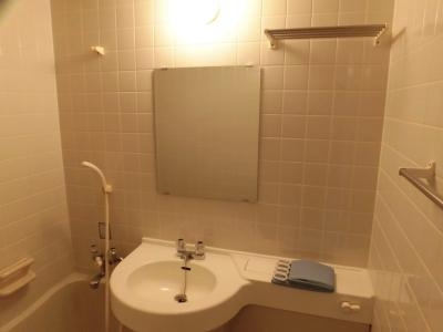 グランデ西京極の洗面所