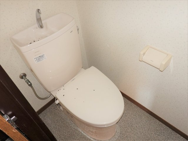 山田ハイツのトイレ