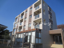 Pine　Branchの画像