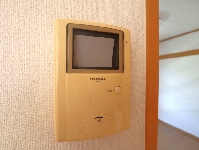 リーパ・フルーミニスのセキュリティ